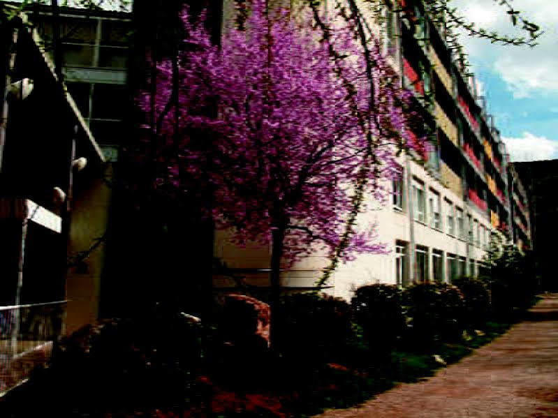 Hotel Balneario Sicilia Jaraba Exteriér fotografie